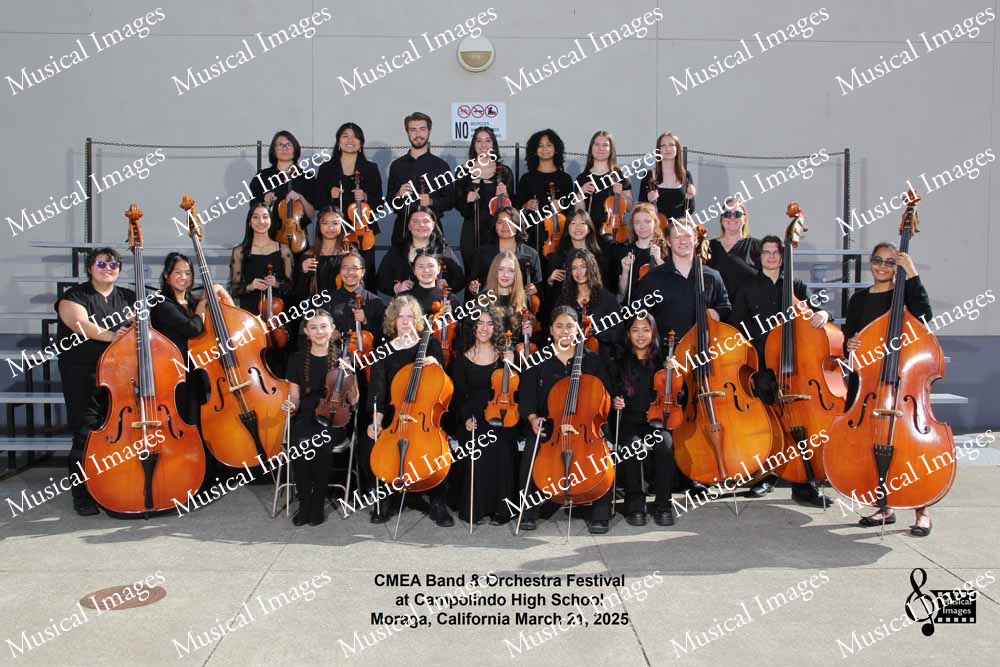 Musical Images